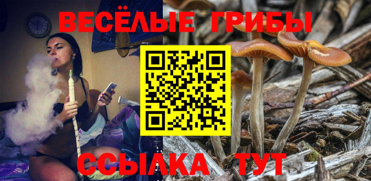 Галлюциногенные грибы ЛСД Кемерово