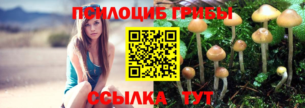 Галлюциногенные грибы MAGIC MUSHROOMS  Вход с VPN  Кемерово 